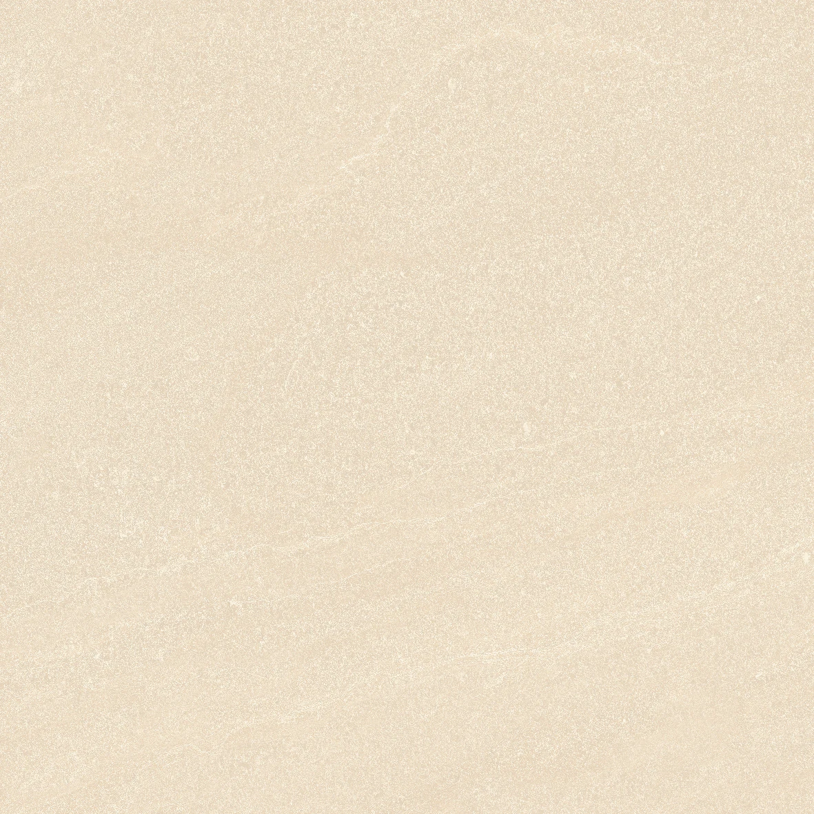 face 6